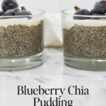 Blueberry Chia Pudding