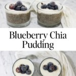 Blueberry Chia Pudding