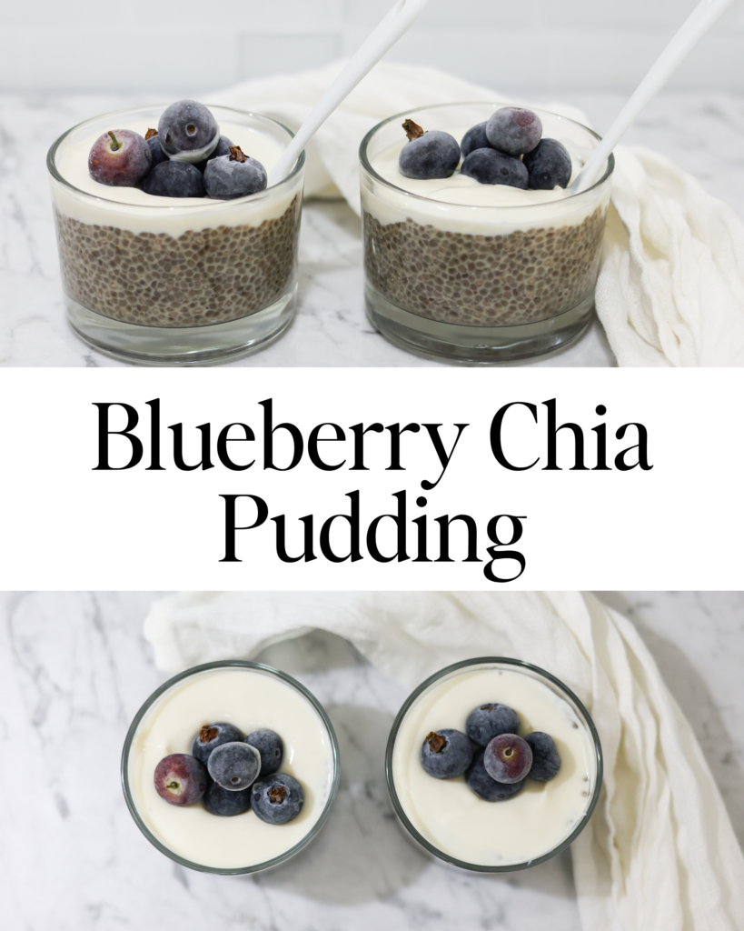 Blueberry Chia Pudding