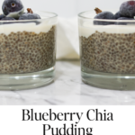 Blueberry Chia Pudding