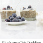 Blueberry Chia Pudding