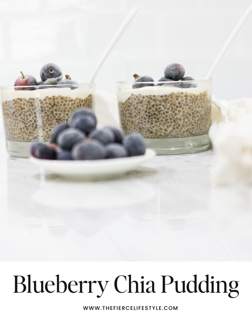 Blueberry Chia Pudding