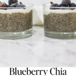 Blueberry Chia Pudding