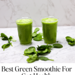 Best green smoothie for gut health